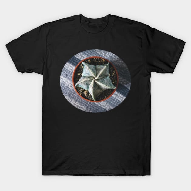 Astrophytum myriostigma a.k.a bishops cap cactus T-Shirt by Robtography